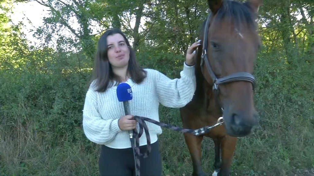 Eloïse Lang, propriétaire d'un cheval mutilé en Loire-Atlantique. - BFMTV