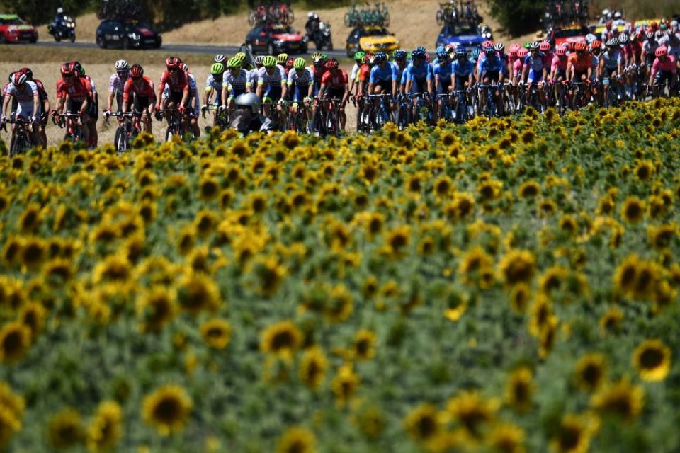 Tour de France 2019 : les plus belles photos de la Grande Boucle (J-4)