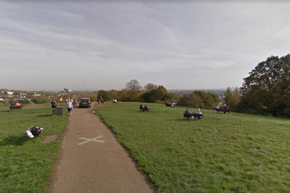 Detectives are appealing for witnesses after a teenager was sexually assaulted on Parliament Hill in north London. (Google Maps )