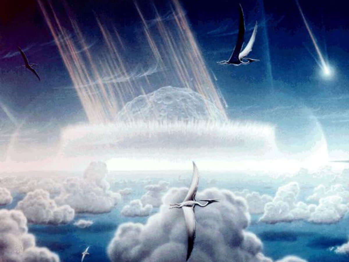 An artists impression of the Chicxulub asteroid which is believed to have wiped out the dinosaurs (Rex)
