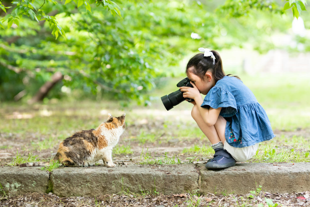 Girl taking a photo of the cat using a single-lens reflex camera. (Photo: Getty)