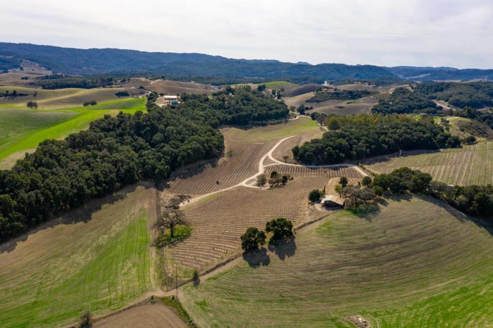 A 24-acre estate located in the Willow Creek district of the Paso Robles American Viticultural Area — and has roots stretching back to a celebrated Napa Valley winery — has recently been put on the market for just under $3 million.