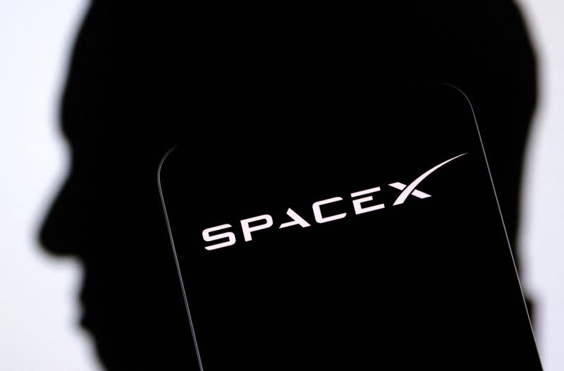 FILE PHOTO: Illustration shows SpaceX logo and Elon Musk silhouette