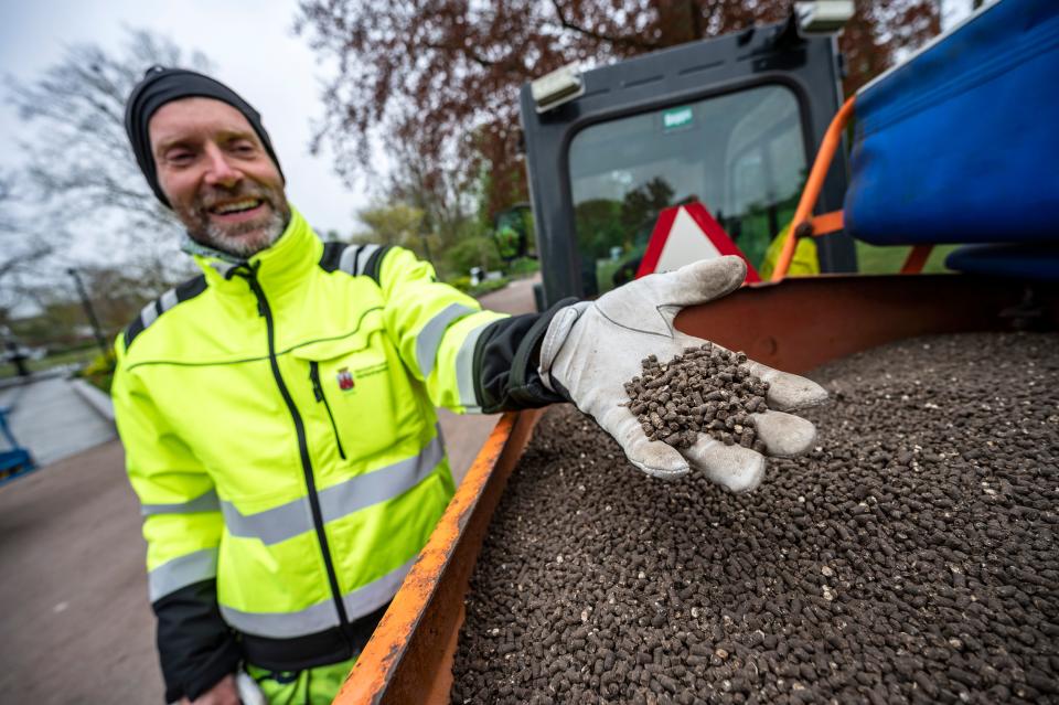 Garden worker Robert Nilsson presents some chicken manure to fertilize lawns in the Stadsparken park in Lund, Sweden, on April 30, 2020, amid the novel coronavirus COVID-19 pandemic. - It's an attempt to aviod residents from gathering there for the traditional celebrations to mark Walpurgis Night. (Photo by Johan NILSSON / TT News Agency / AFP) / Sweden OUT (Photo by JOHAN NILSSON/TT News Agency/AFP via Getty Images)