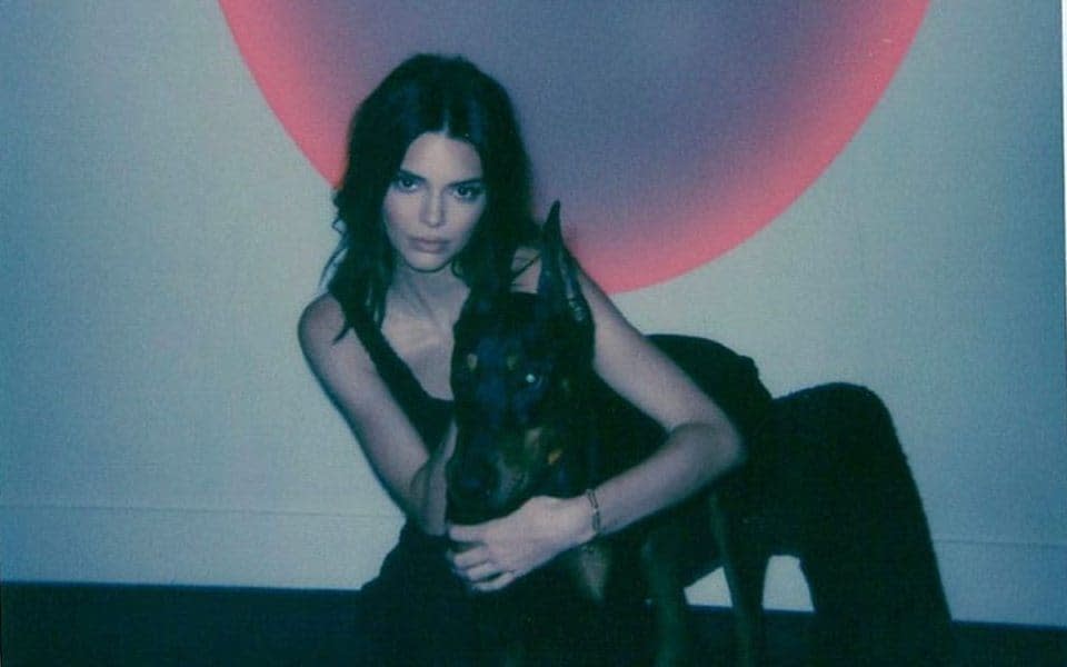 Kendall Jenner and her dog in front of her James Turrell installation - Instagram.com/Kendalljenner