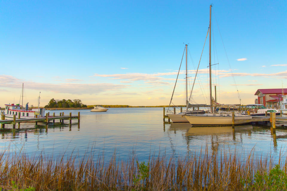 Boats are docked at a calm marina with a clear sky above and grassy reeds in the foreground