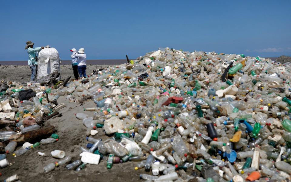 The enhanced protein comprises two enzymes produced by a type of bacterium that feeds on plastic bottles - Reuters