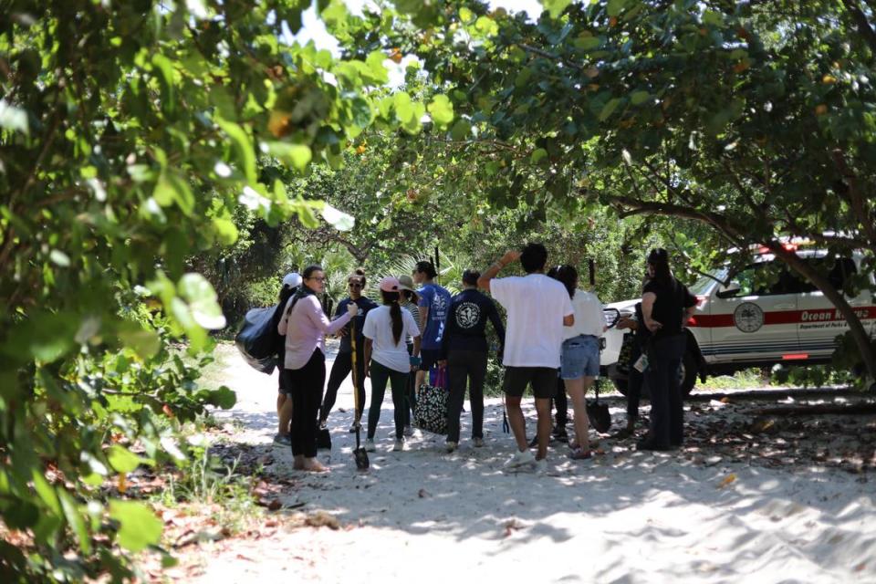 A group of volunteers walk with shovels on the trail at Virginia Key Beach Park on May 17 to plant native trees that will replace invasive plant species.