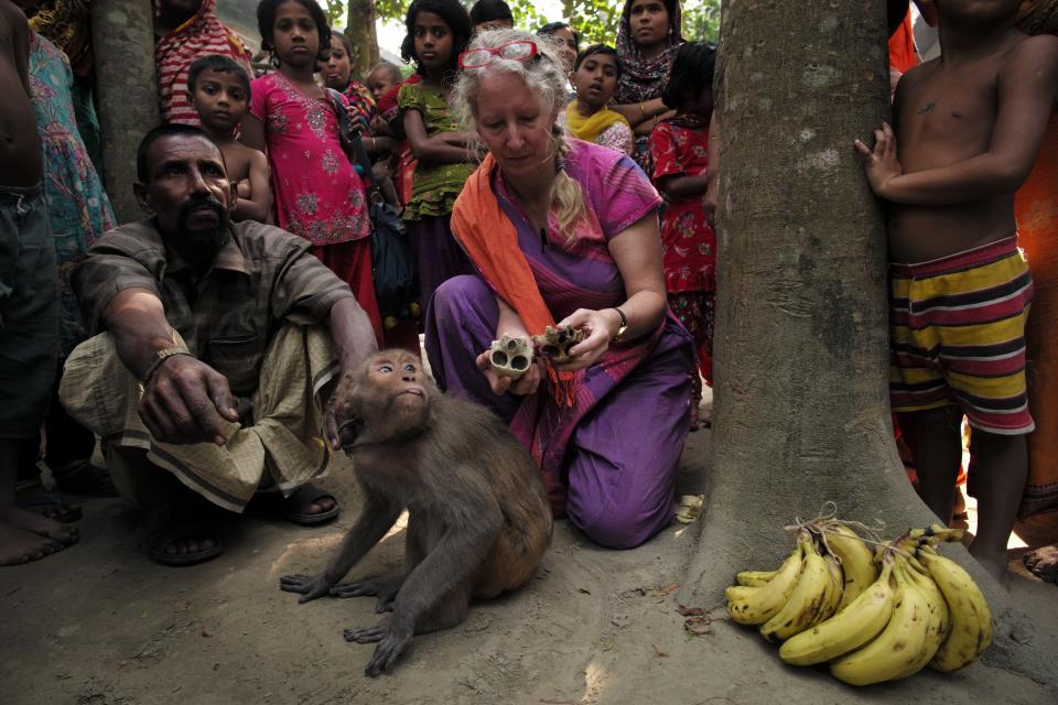 Lisa Jones-Engel served as a senior research scientist at the primate center for 14 years and a faculty member at UW for 17 years. In 2019, she resigned her position at UW in protest and joined People for the Ethical Treatment of Animals as a senior scientific advisor for primate experimentation. This photo was taken in 2014-15 in Bangladesh where Jones-Engel was collecting biological samples from performing monkeys and first needed to win their trust by quietly sitting with them.