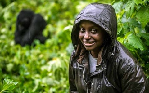 Uganda has seen its mountain gorilla population recover well - Credit: The Tusk Conservation Awards in partnership with Investec Asset Management