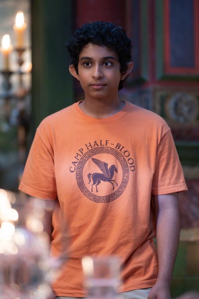 Camp Half Blood T-shirt Percy Jackson Demigods Olympian Halloween Costume  Shirts