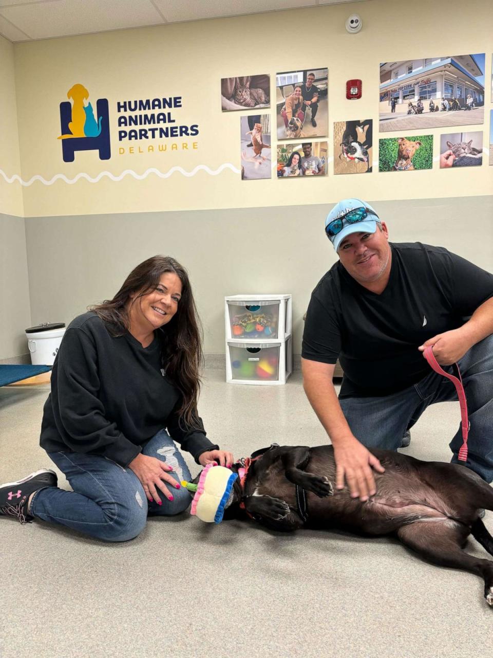 PHOTO: Tessy the dog was adopted from Humane Animal Partners in Delaware by Jeanine Walker-Porter and Jeff Bush after 1,007 days. (Courtesy of Humane Animal Partners)