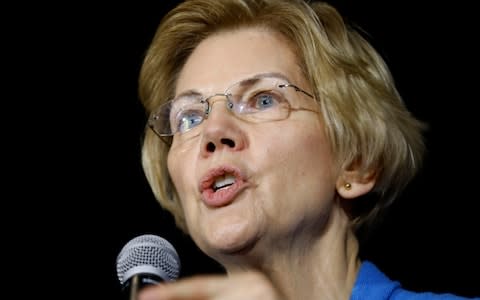 Elizabeth Warren, the Democratic senator for Massachusetts, has developed a reputation for standing up to Wall Street - Credit: AP Photo/Charlie Neibergall