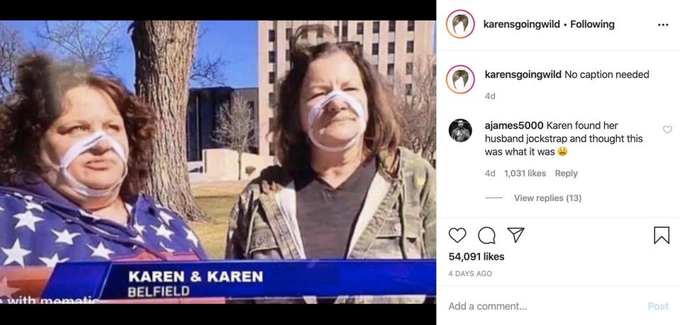 Posts on "karensgoingwild" span years of backlogged "Karen" content on other social media platforms like Reddit.