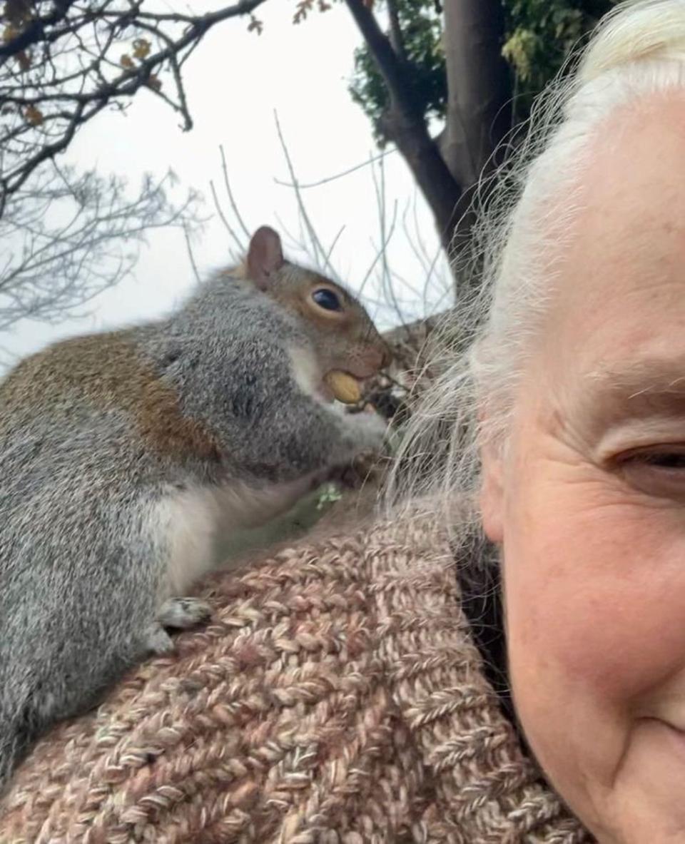 Corinne said the squirrel’s behaviour deteriorated rapidly (Corinne Reynolds)