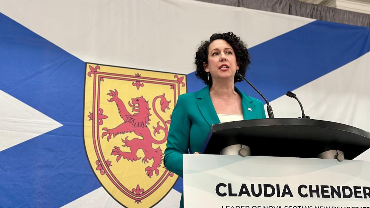 Nova Scotia NDP leader Claudia Chender told supporters her party is gearing up for the next provincial election. (Taryn Grant/CBC - image credit)