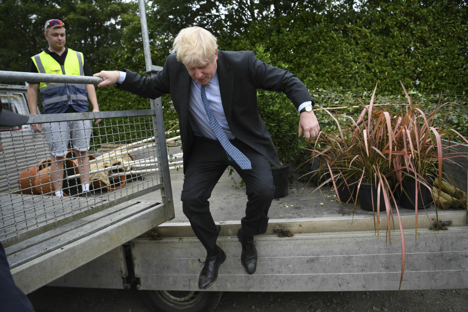 Conservative Party leadership candidate Boris Johnson jumps down from a trailer during a visit to King & Co tree nursery, in Braintree, Essex, ahead of a Tory leadership hustings, England, Saturday, July 13, 2019. (Neil Hall/Pool photo via AP)