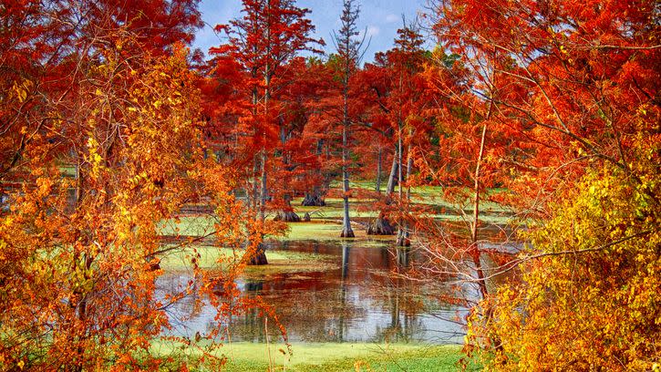 best places to see fall foliage
