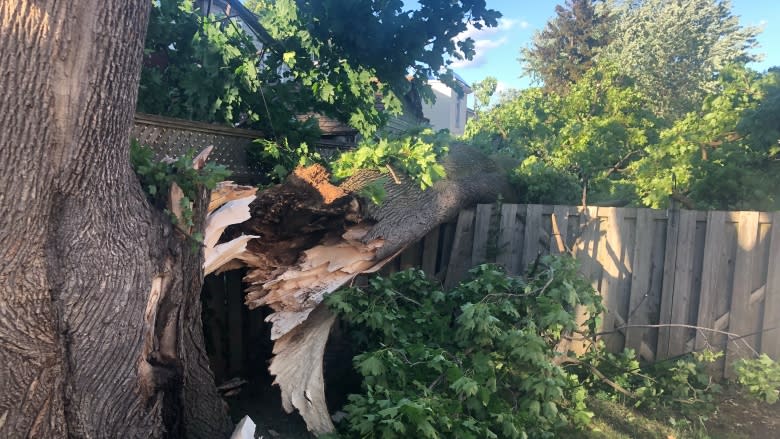 Toronto still dealing with handful of power outages following Wednesday's storm