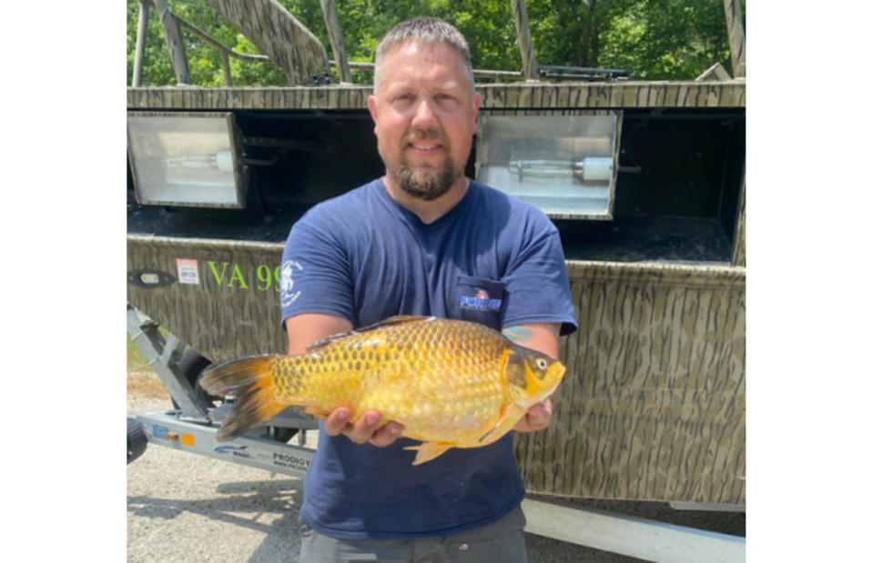 Jeremy Fortner with the goldfish he caught in Hunting Creek in Virginia on May 22, 2021. / Credit: Virginia Department of Wildlife Resources via WTKR-TV