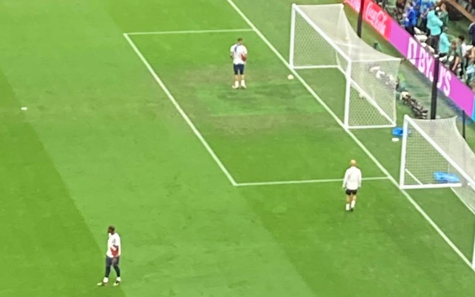 The World Cup final pitch looking surprisingly poor - Jason Burt