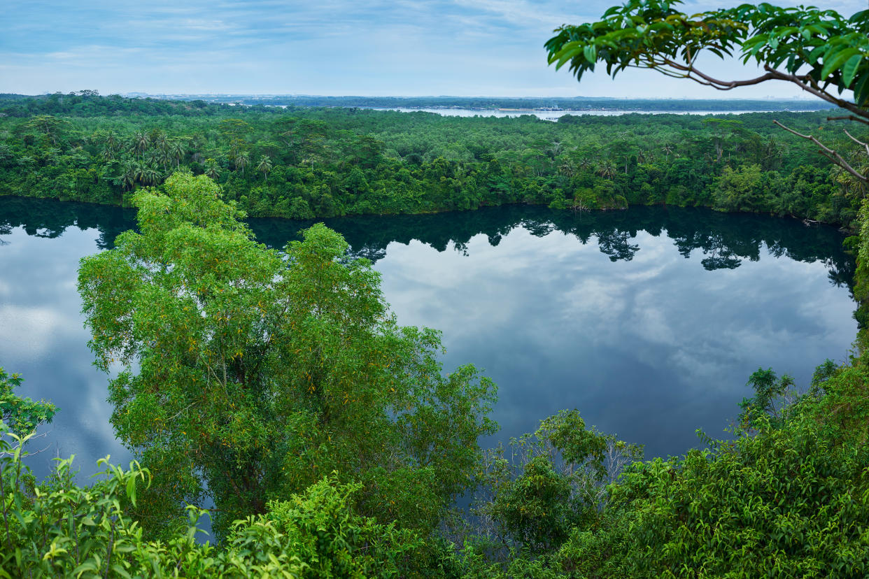 Chek Jawa Wetlands, host 500 species within six ecosystems (Singapore Tourist Board)