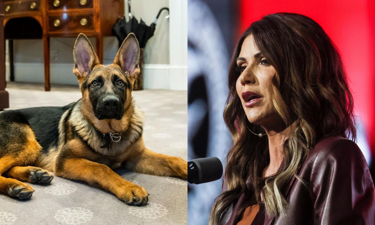 <span>There’s no going back into the good graces of dog owners for Kristi Noem, who wrote about killing her 14-month-old dog Cricket and threatened Joe Biden’s dog Commander in the same book.</span><span>Composite: HUM Images/Universal Images Group via Getty Images, Reuters</span>