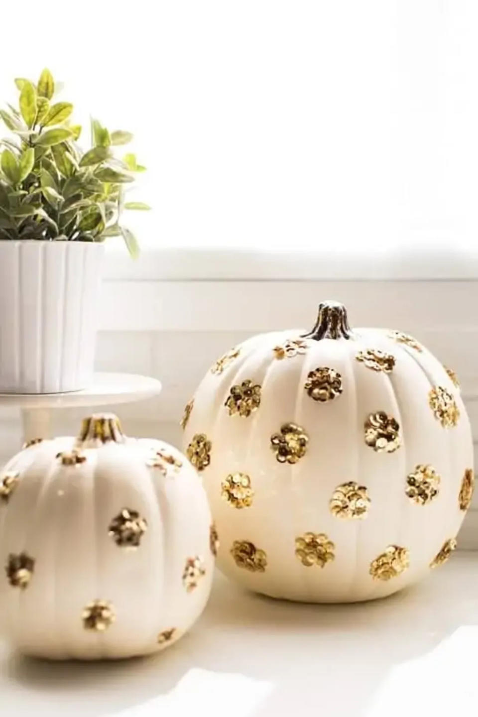 cream pumpkin with gold sequin polka dots (Sugar & Cloth )