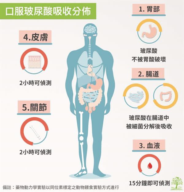 （圖片／好食課林世航營養師提供）