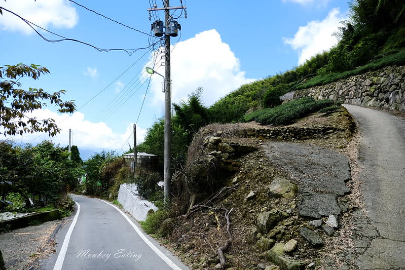 嘉義阿里山｜二延平步道