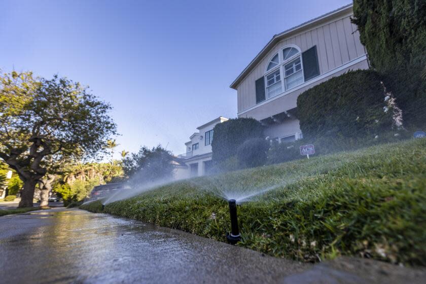 Los Angeles, CA - June 01: Sprinklers water the grass and flowers during early morning hours on a lawn at a house in Beverlywood neighborhood of Los Angeles on the first day that the LADWP drought watering restrictions are implemented Wednesday, June 1, 2022. (Allen J. Schaben / Los Angeles Times)