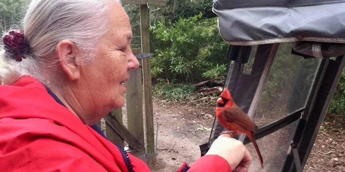 Pat Beichler, the farm’s general manager, raised most the birds in her bathroom until they were old enough to join the flock.