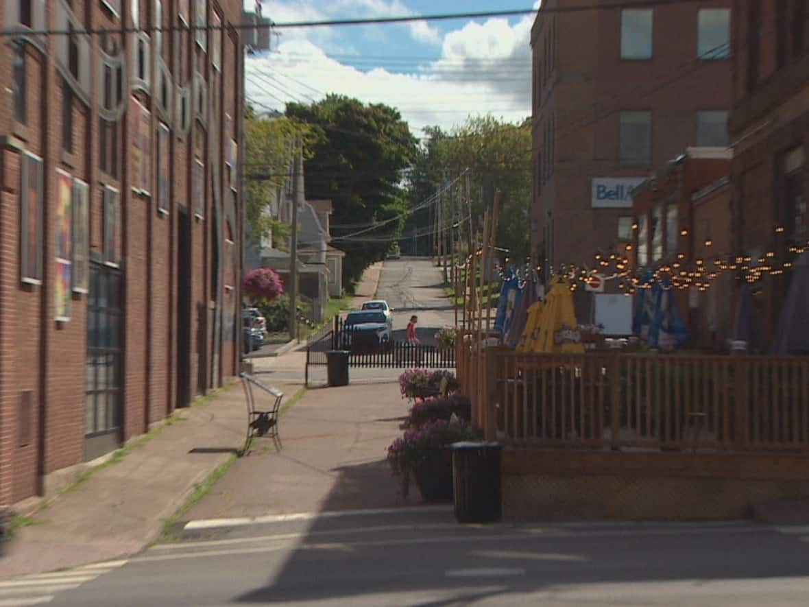 Much of Viola's Way is covered by a restaurant patio.  (Rob Short/CBC - image credit)