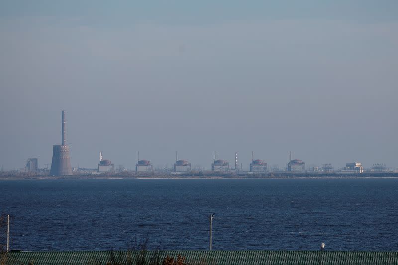 FILE PHOTO: View shows Zaporizhzhia Nuclear Power Plant from the town of Nikopol