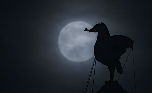 The supermoon rising over The Royal Liverbuilding 