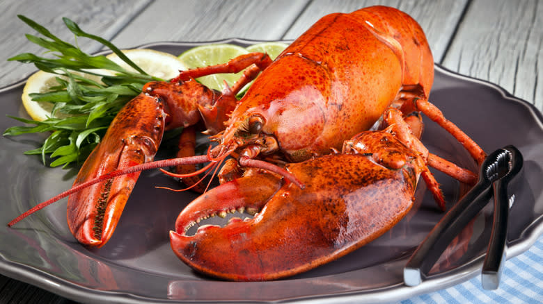 Cooked whole lobster