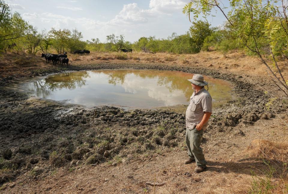 Anthony Gola had to truck in water because some of the stock tanks he relies on for his cattle have dried up.