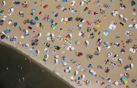 People swim and sunbathe on a hot sunny summer day at the beach of Wannsee near Berlin, Germany, July 4, 2015. REUTERS/Hannibal Hanschke