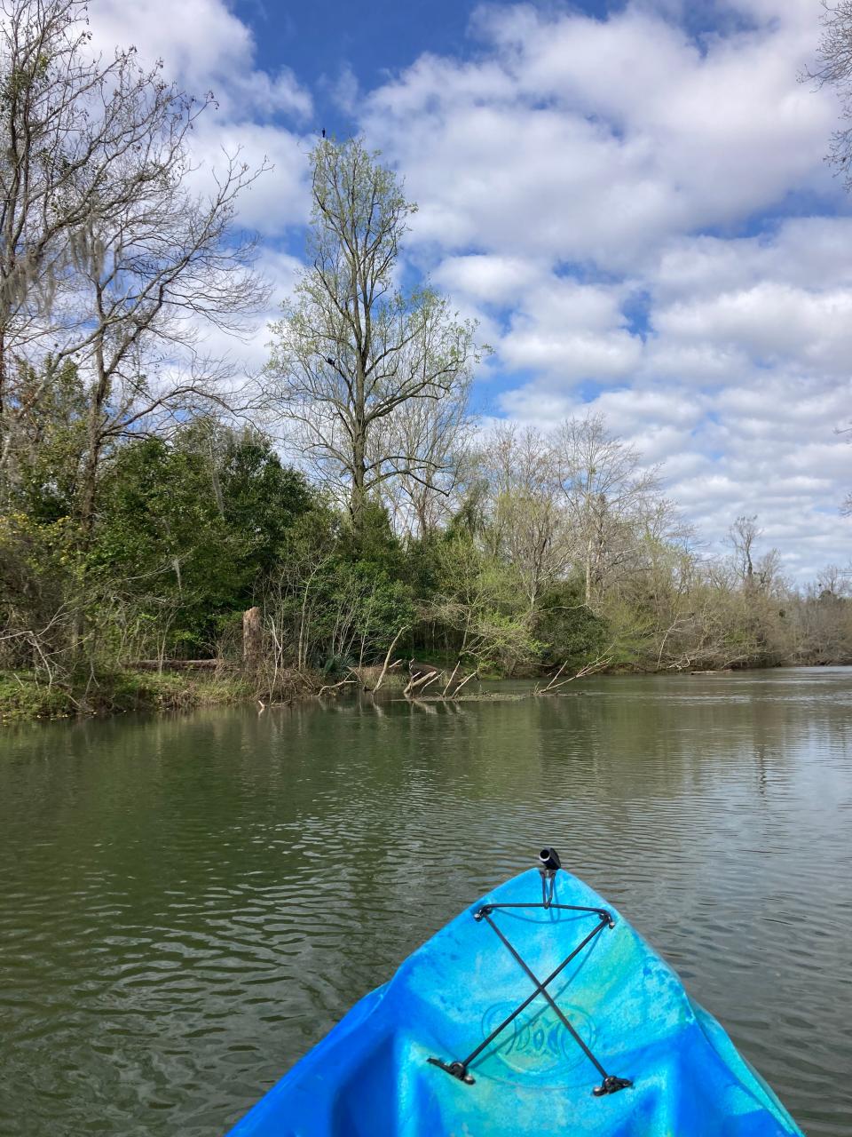 A look at the kayaking path along the Savannah River on Stallings Island.