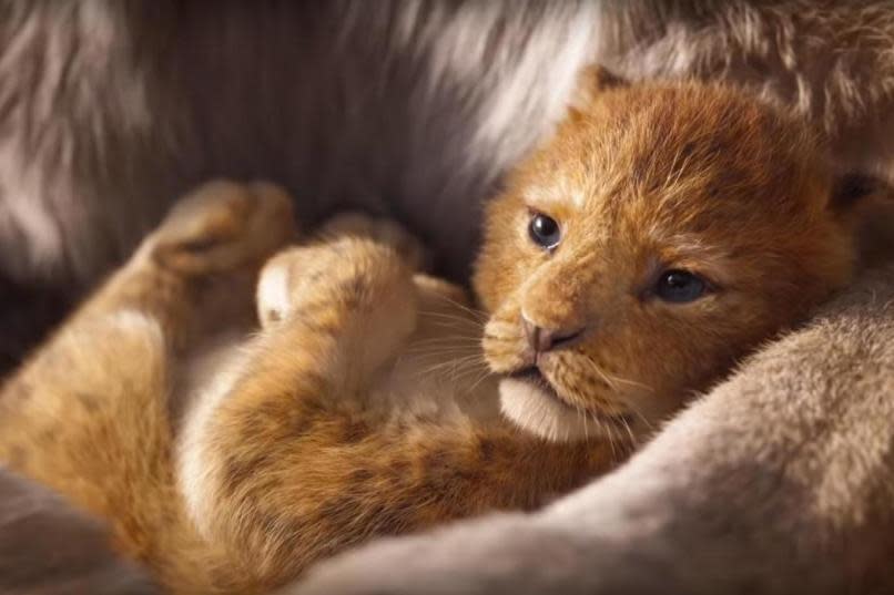 The Lion King (Walt Disney Studios)