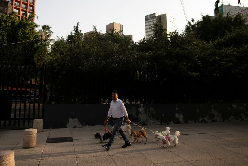 A man walks with a few dogs after Mexico's government declared a health emergency on Monday and issued stricter rules aimed at containing the fast-spreading coronavirus disease (COVID-19), in Mexico City