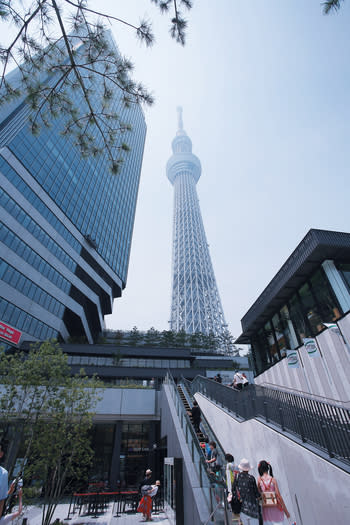 2. 雙生兒Solamachi與晴空塔，是東京現在人氣最旺之地。