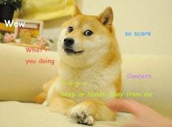 dogecoin wallet