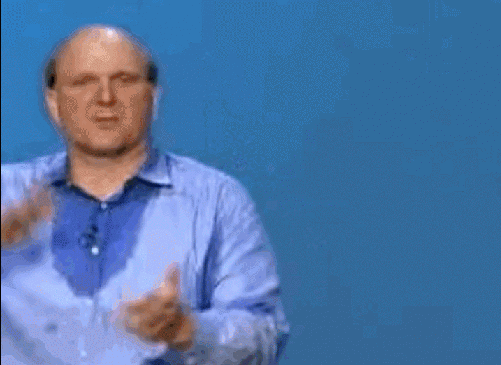 steve ballmer developers