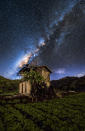 <p>Some of steves other night sky photography – Cameron Highlands- Malaysia. (Photo: Steve Lance Lee/Caters News) </p>