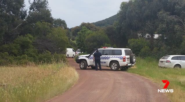 A man has died after a swarm of bees stung him on a farm in Victoria’s Grampians region. Picture: 7 News, file