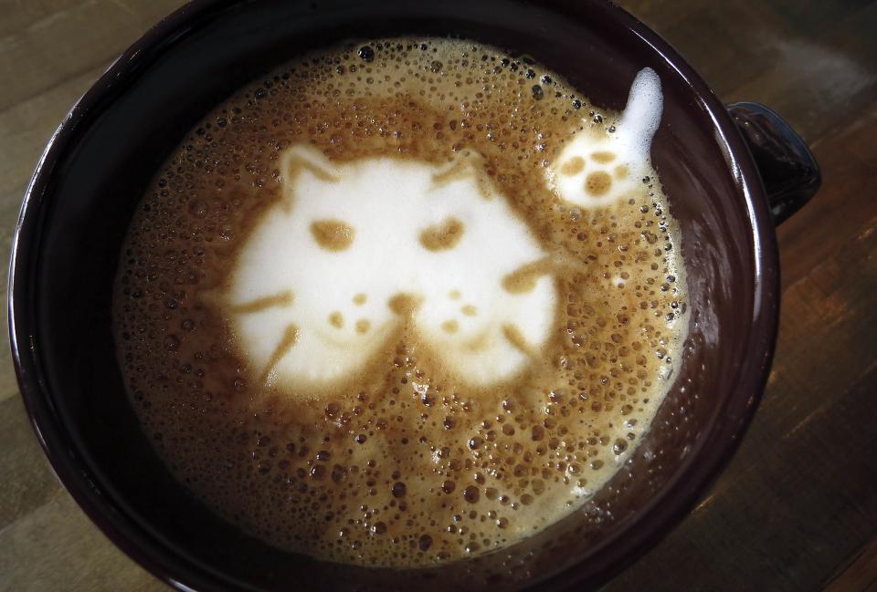 A "Cat'achino" is pictured at the cat cafe in New York April 23, 2014. The cat cafe is a pop-up promotional cafe that features cats and beverages in the Bowery section of Manhattan.