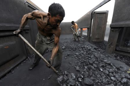 FILE PHOTO: Workers unload coal at a storage site along a railway station in Hefei, Anhui province October 27, 2009. REUTERS/Jianan Yu/File Photo