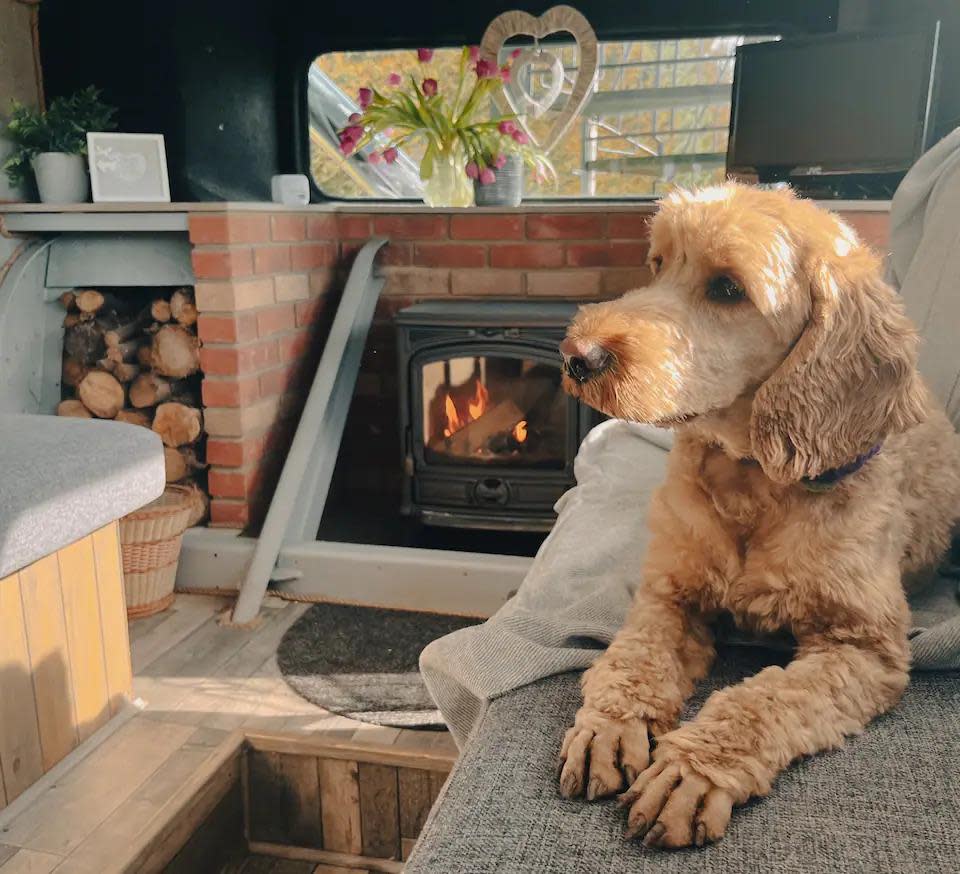 The Northern Echo: The unique holiday home is dog-friendly.