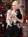 <p>Gwen Stefani hugs the sweetest little puppies while on the set of Hallmark Channel's <em>Home & Family</em> on Wednesday at Universal Studios Hollywood in Universal City, California.</p>